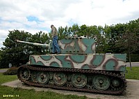 11).JPG
