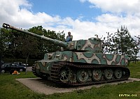 13).JPG