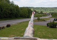 31).JPG