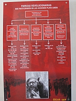 ESCU18 - ca14.jpg