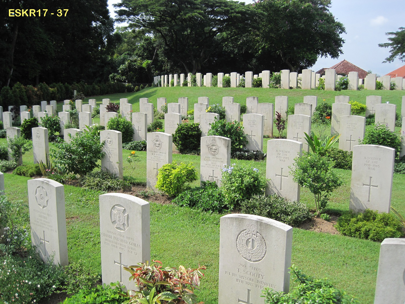 Kranji 37 - .JPG