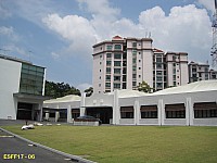 6 - FFF (3).JPG